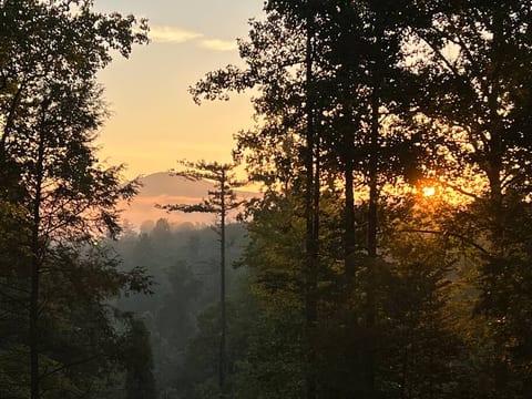 Sunrise view