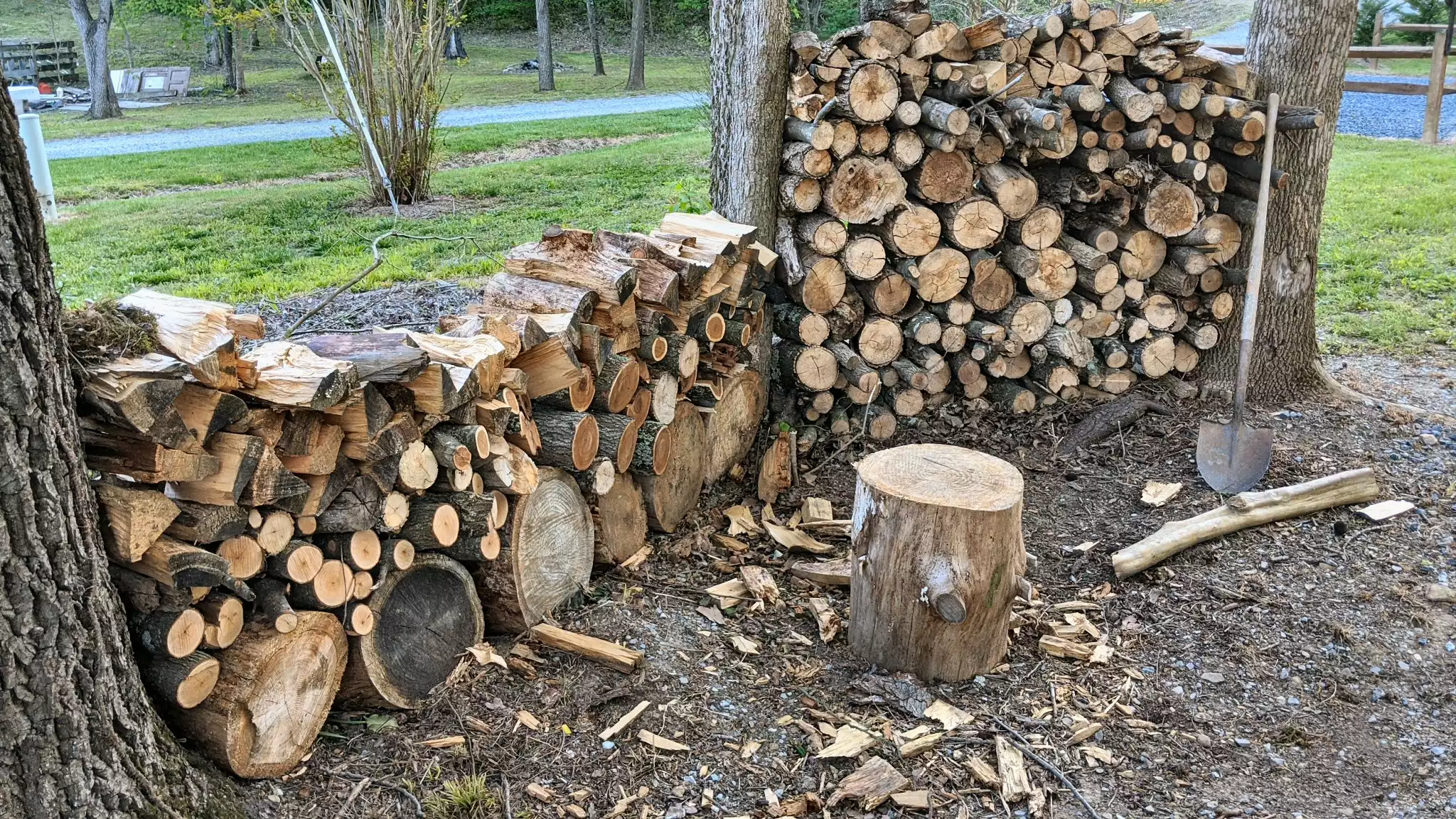 Unlimited dried/stacked firewood just a few yards from the cabin, provided with every booking (firewood fee is $10/night) - Rustic Retreat - Luray