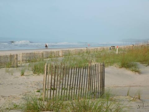 Wow Factor! Folly Field Beach Renovated Cute Clean