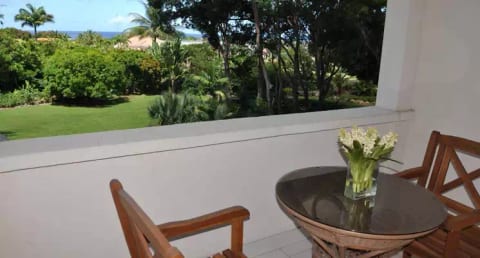 Ceiba - Sandy Lane