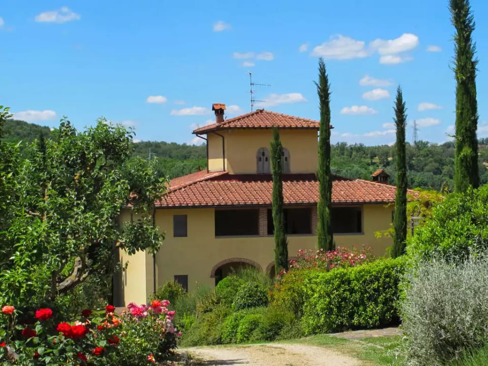 Corbezzolo - San Giovanni Rotondo