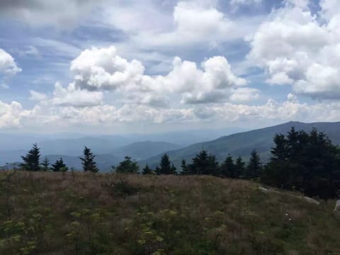 Roan Mountain - On of our favorite places to go for a hike 