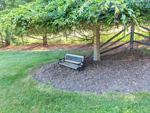 Enjoy the outside!