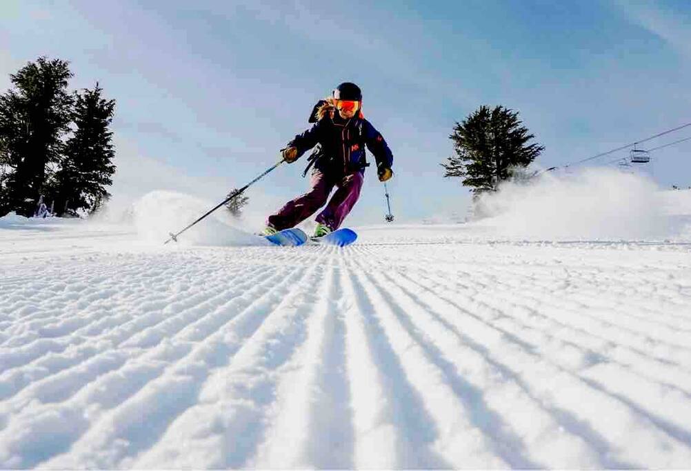 Bear Hugs Chalet is the perfect location for skiing Big Boulder, Jack Frost and also close to Blue Mountain, Camelback Mountain, Elk Mountain, Ski Montage and Shawnee!  

You’ll love your stay in Bear - *Bear Hugs Chalet* SKI*Games *NewHotTub*Fire Pit - Lake Harmony