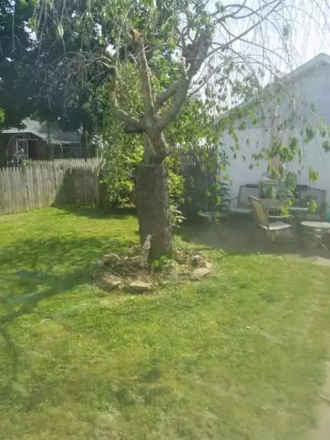 Whole house--access to Entire Lehigh Valley!