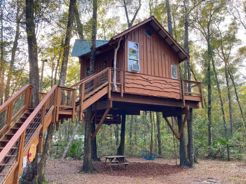 The treehouse in the woods.