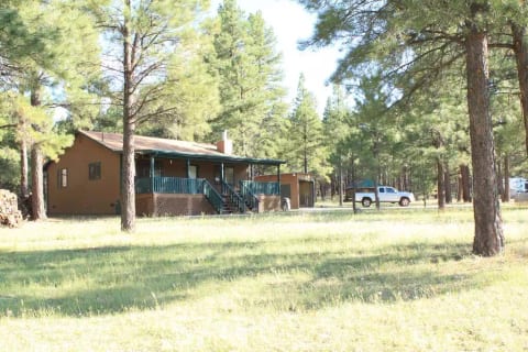 Front yard