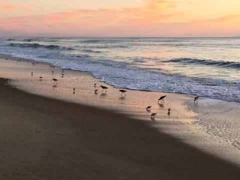 Avon's beaches never crowded (with people)