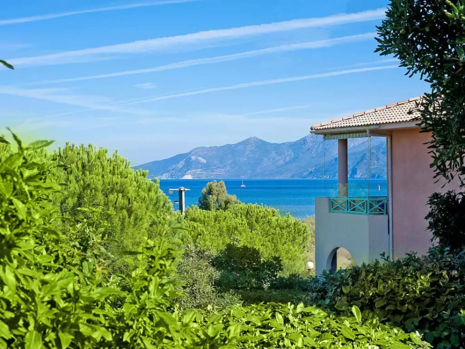 Suarella - Saint-Florent