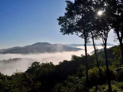 A Million Dollar View Above the Clouds - Finch 2