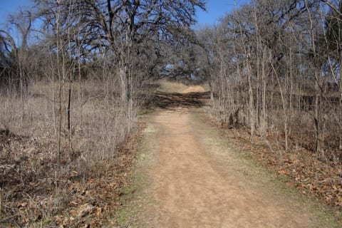 There are many great hiking trails nearby. This flat trail is at Commons Ford Ranch park