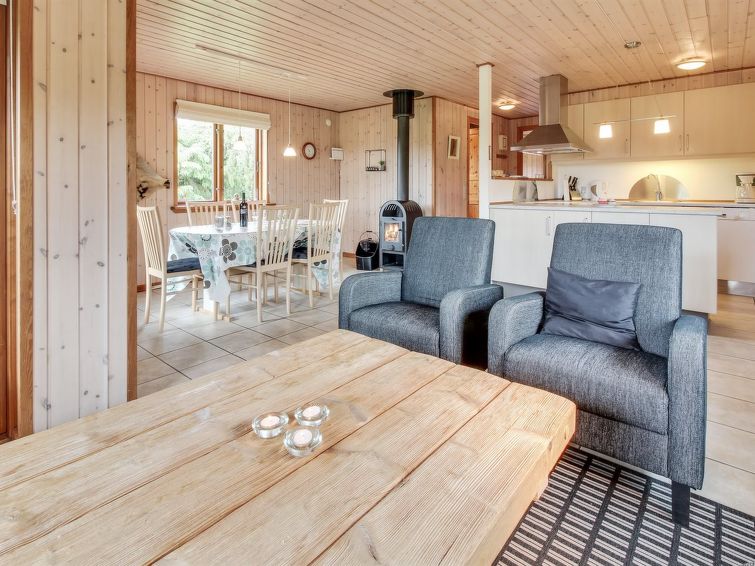 Living roomType - Engeline - 8km from the sea in Western Jutland - Vemb