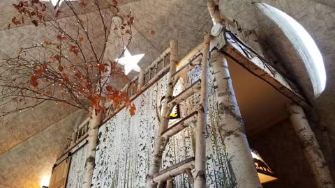 Birch ladder to loft, star skylight, moon window, bedroom behind the birch wall