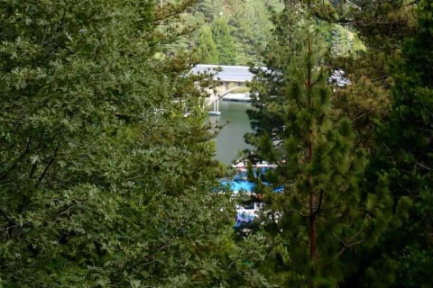 Upper deck lake views from cabin of Blue Jay Bay