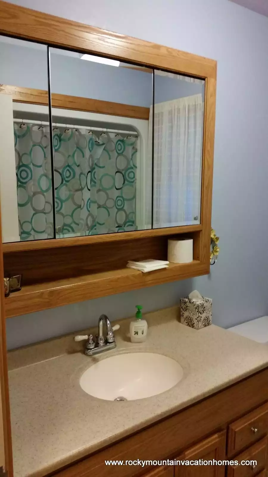 Vanity in full bath upstairs