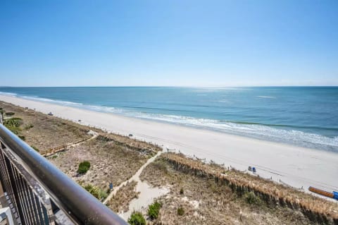 Amazing beachfront 2 Bedroom!