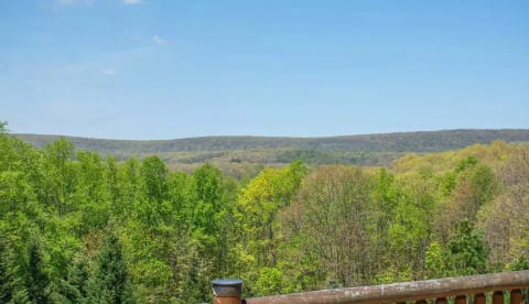 Bracken Lodge - 30 acres of private luxury & fun!