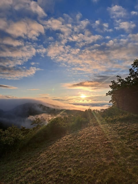 Sunrise Chateaux