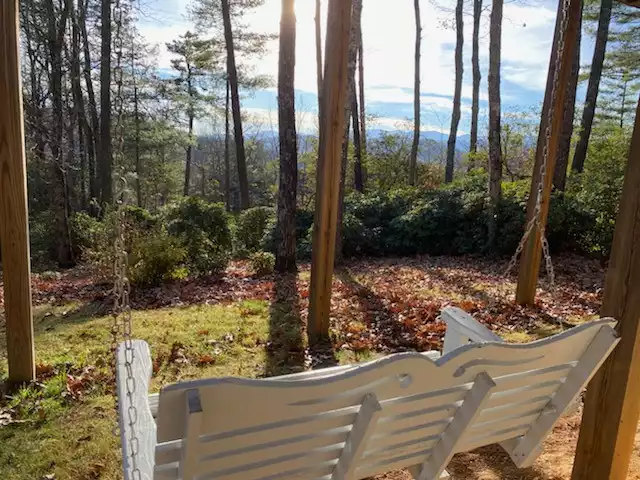 Relax under the deck in the swing or hang up your eno for a mountain nap! Mountain views can be seen from here in fall and winter. - Bear's Eye View - Spruce Pine