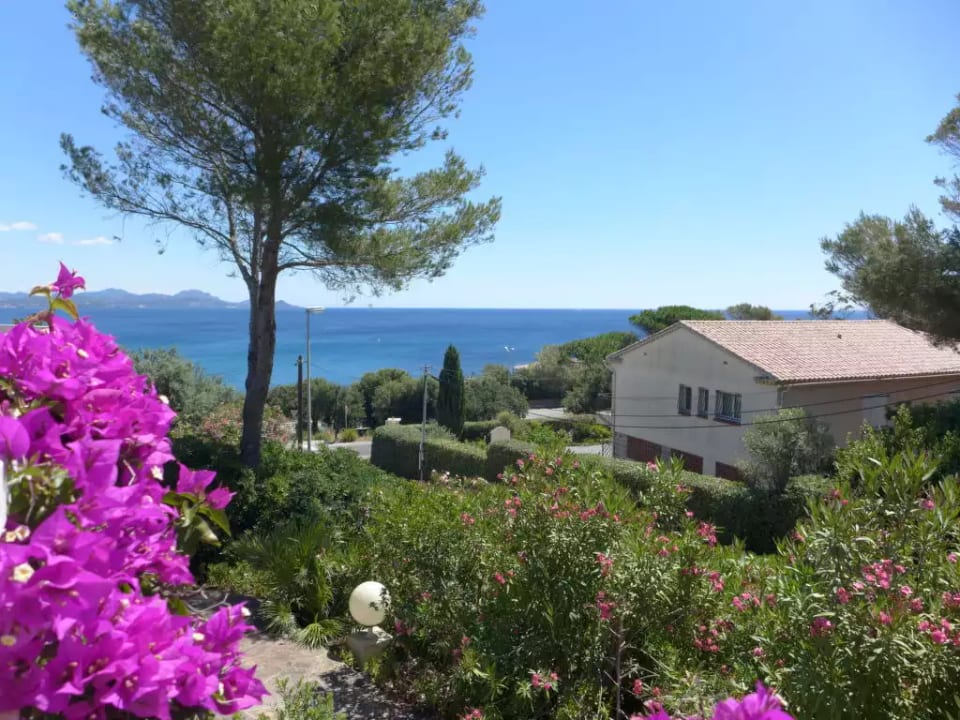 Carpe Diem - Roquebrune-sur-Argens
