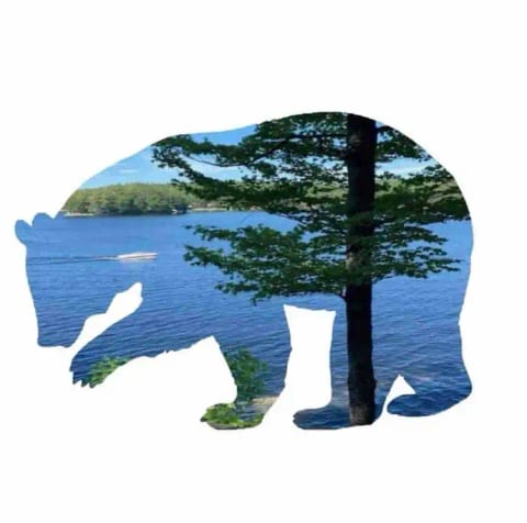 Camp lake bear logo with view of lake