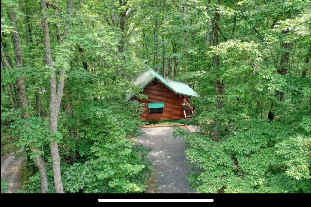 Tucked away for solitude. - The Woods At Whitetail Ridge- 2 fireplaces- - Ellijay