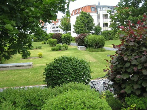 Kamelienweg