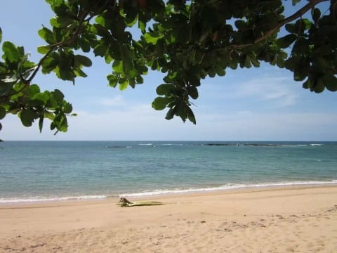 Beach Front