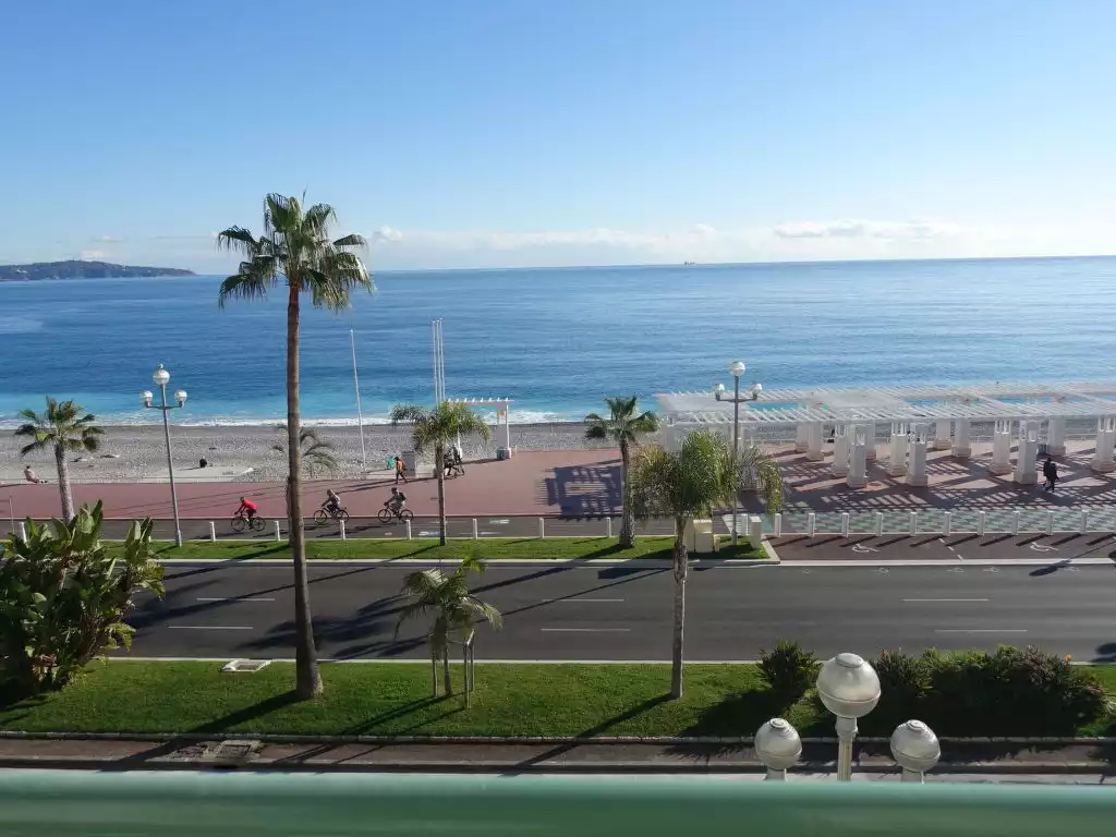 Les Yuccas Promenade des Anglais - Nice