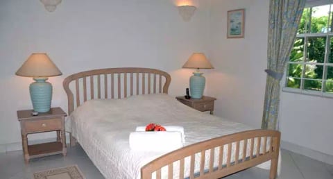 Ceiba - Sandy Lane