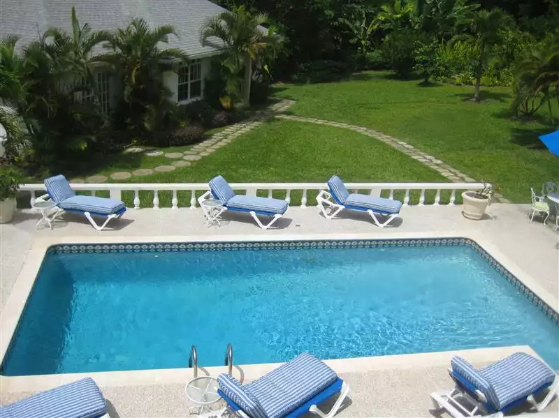 Rose of Sharon - Sandy Lane Estate - Barbados