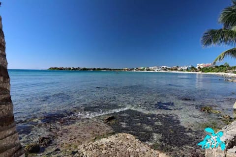 Half Moon Bay, our play ground, has incredible snorkeling right off our shores