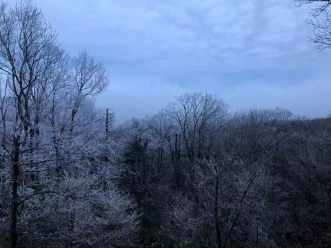Winter view from upper back deck