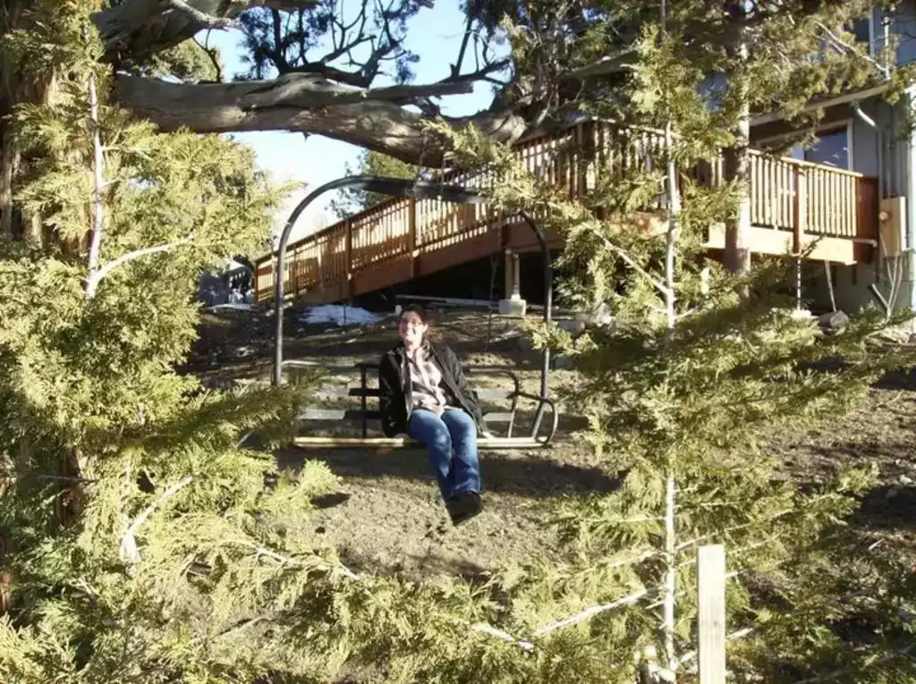 Ski Lift Chair Photo-op! Front Yard Ski Lift Chair Photo-op! Front Yard - Big Bear Groups Retreat Cabins - Big Bear Lake