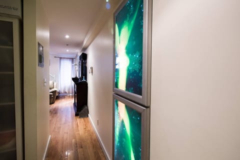 Hallway entrance into the apt