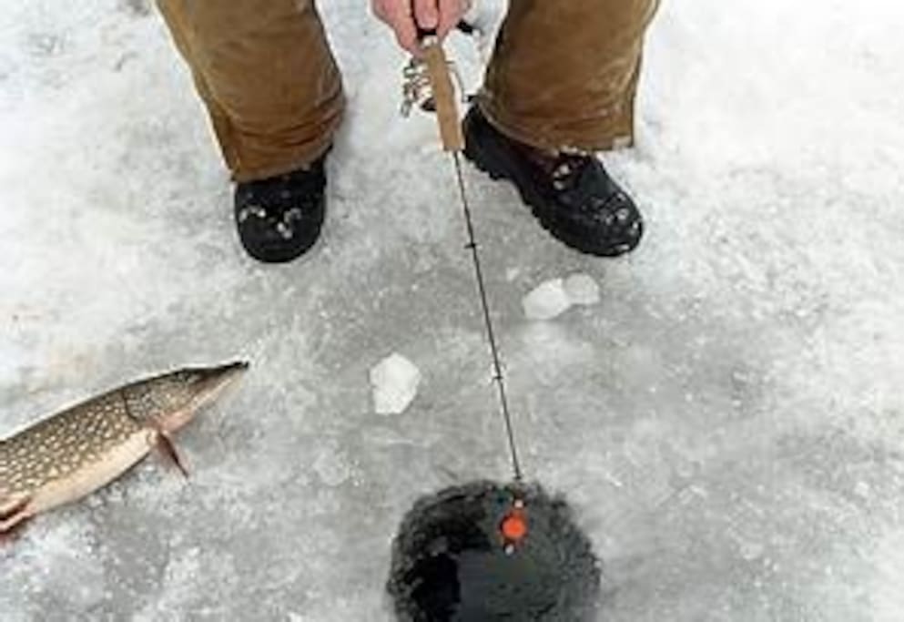 Enjoy your ice fishing adventure on Bobs Lake! - Waterfront Cottage Fun! Games, snowmobile, hiking - Tichborne