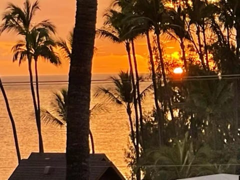 View from lanai