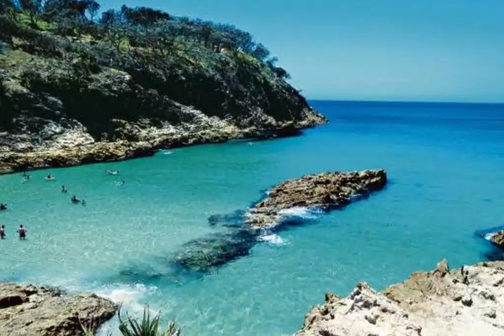 million-view-watch-whales-from-comfort-of-home/