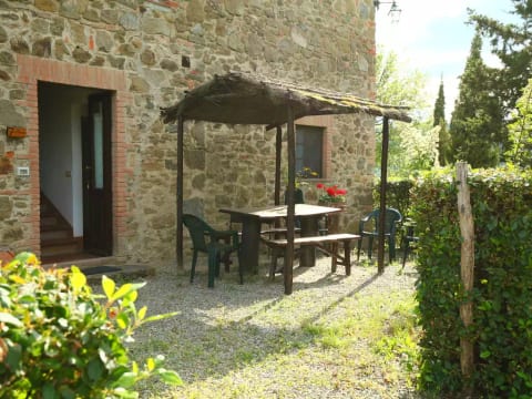 Il Pettirosso n°7
