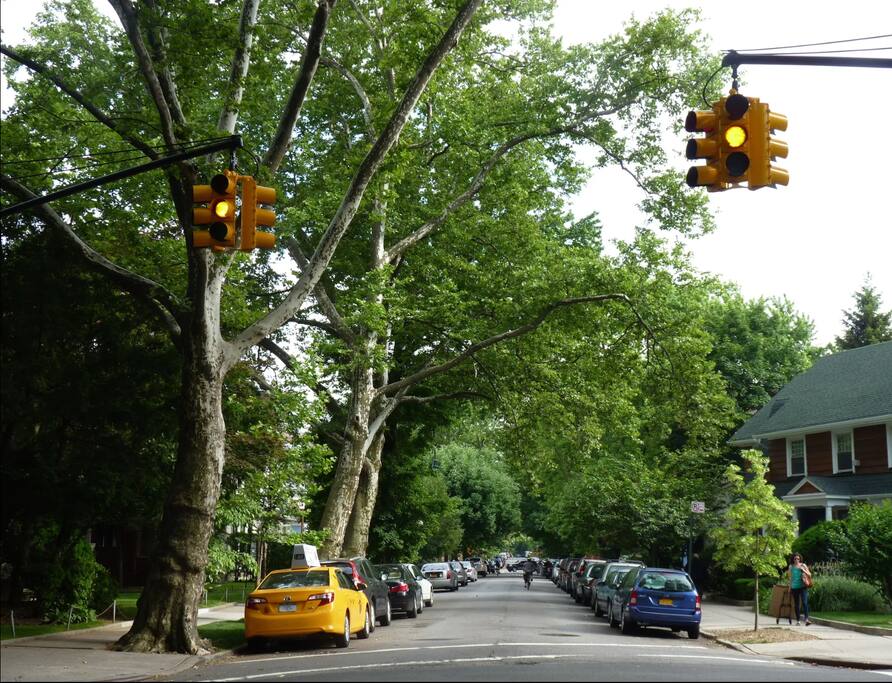 Ditmas Park /Brklyn's Best Kept Secret /EV charger - Brooklyn