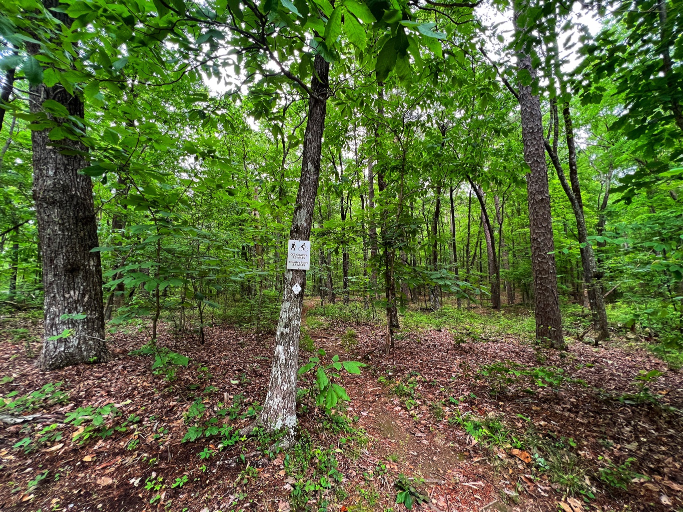 This walking trail at DeSoto State Park is a short walk from Coyote Cabin This walking trail at DeSoto State Park is a short walk from Coyote Cabin - The Otter Box Cabin - Fort Payne