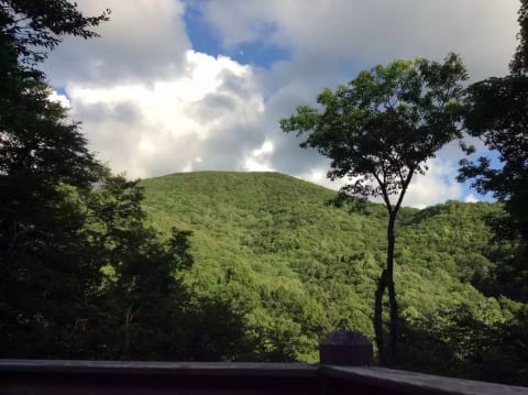 Summer view with full foliage. 