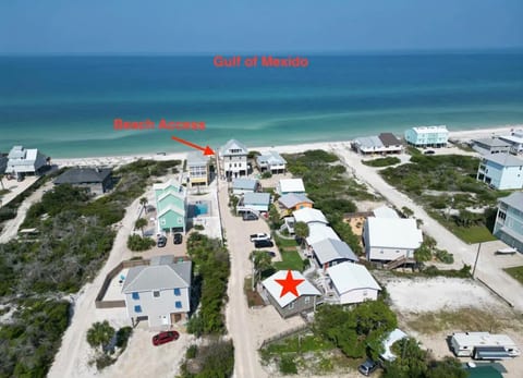 Turtle Tracks