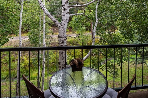 Cozy Condo in Ruidoso