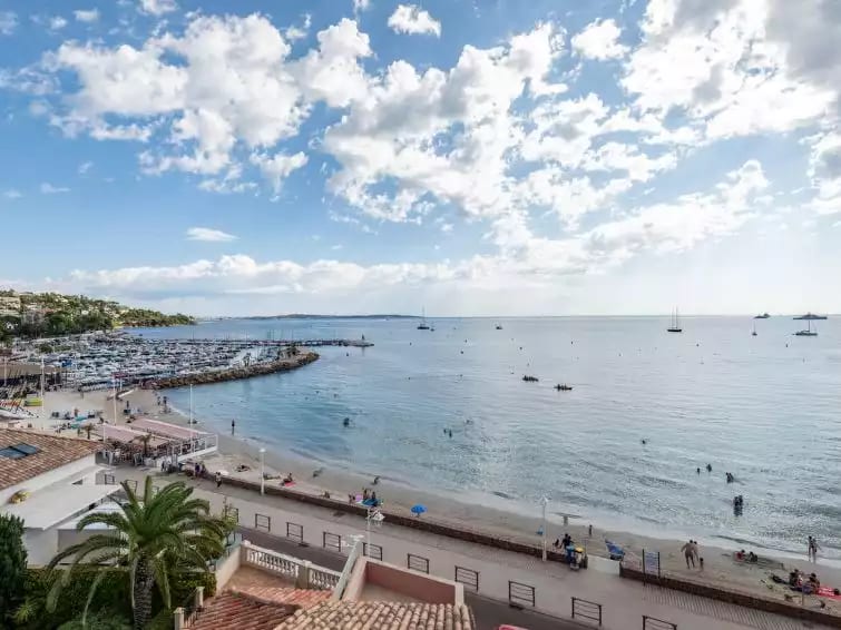 Les Araucarias - Cannes