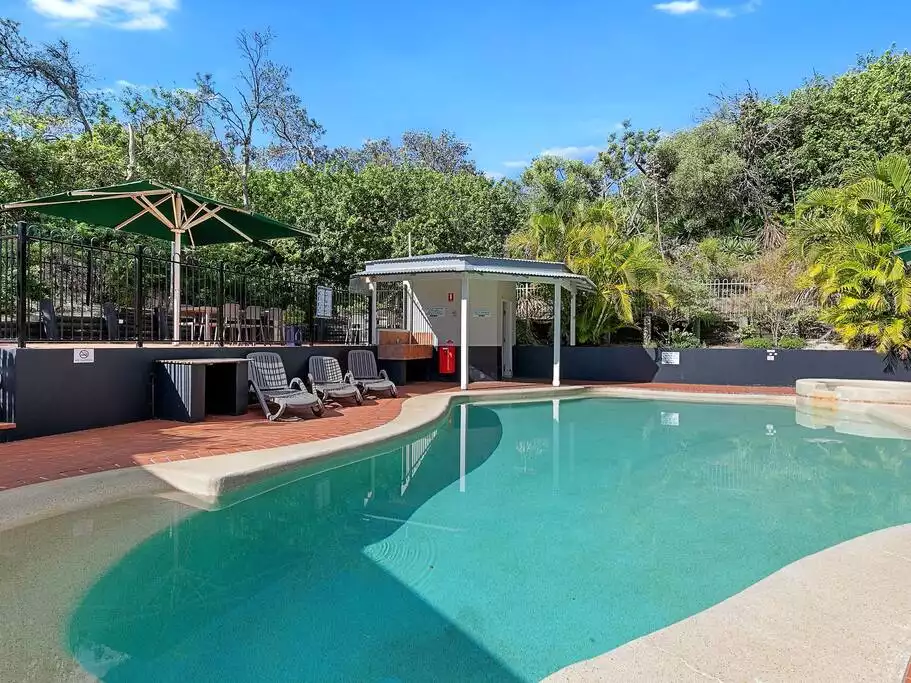 million-view-watch-whales-from-comfort-of-home/