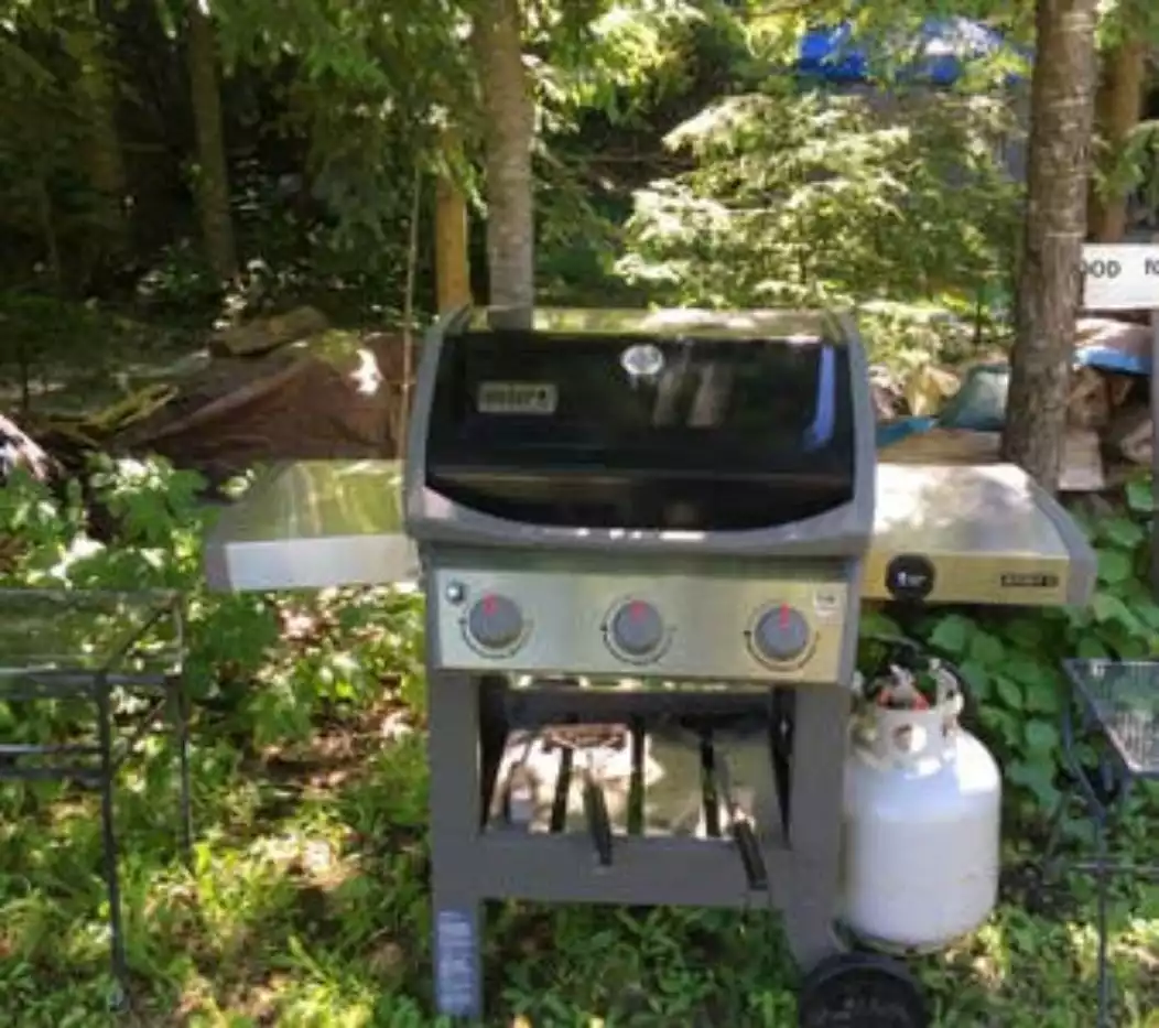 Gas Grill - Vermont Cottage Amherst Lake & Sanctuary - Plymouth