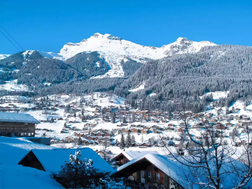 Chalet Tuftstein - Grindelwald