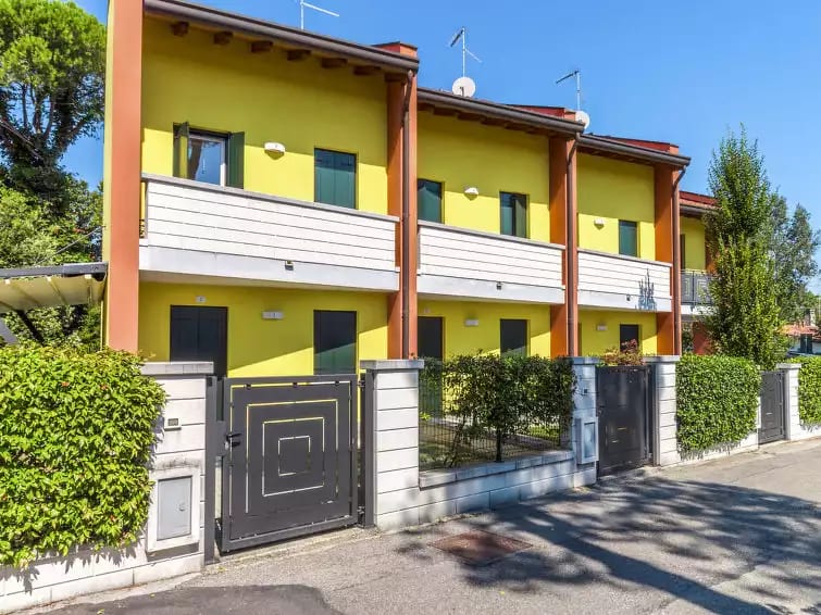 Begonie - Bibione