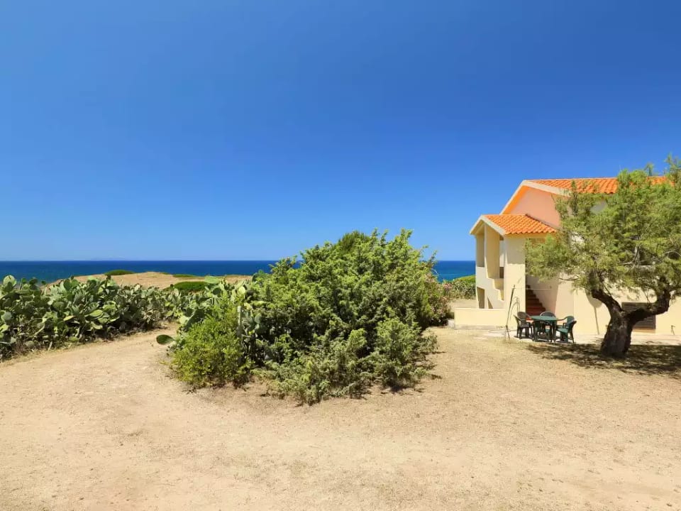 Ananas 3 B - Valledoria